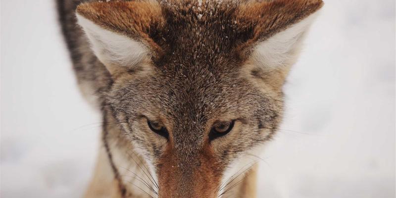 当精密智造邂逅美丽科学:凯瑞恩如何重塑化妆品与肌肤护理产业